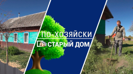 Вау! Дом по цене пиццы / Новая жизнь старого ФАПА / По-хозяйски