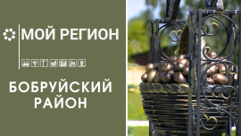 Мой регион — Бобруйский район