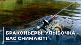 Рейды на водоемах Могилевщины: задержаны браконьеры с ущербом в 42 000 рублей