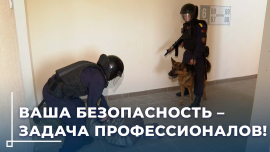 Преступность подстраивается под сезон / Как защитить имущество в период отпусков?