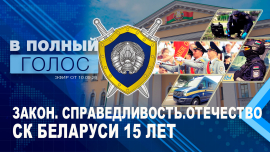 СК Беларуси 15 лет // Киберпреступность // В полный голос