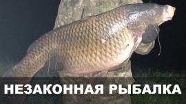 Сачком и рогаткой наловили реальный срок