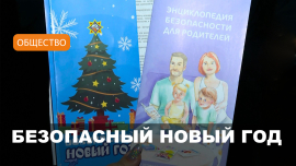 МЧС напоминает правила безопасности на Новый год