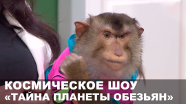 ТАЙНА ПЛАНЕТЫ ОБЕЗЬЯН // Ранехонько