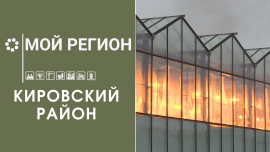 Мой регион — Кировский район
